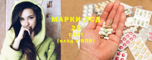 прущие грибы Навашино