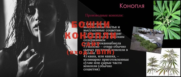 прущие грибы Навашино