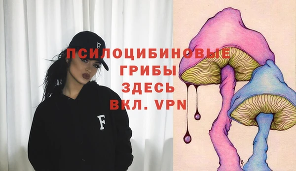 PSILOCYBIN Зеленокумск