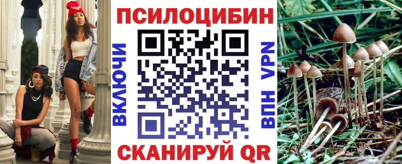 Галлюциногенные грибы Psilocybe  Лысково 
